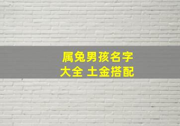 属兔男孩名字大全 土金搭配